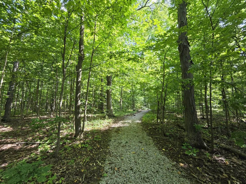 7538 Wood Brook Road Lodi Township, MI 48103