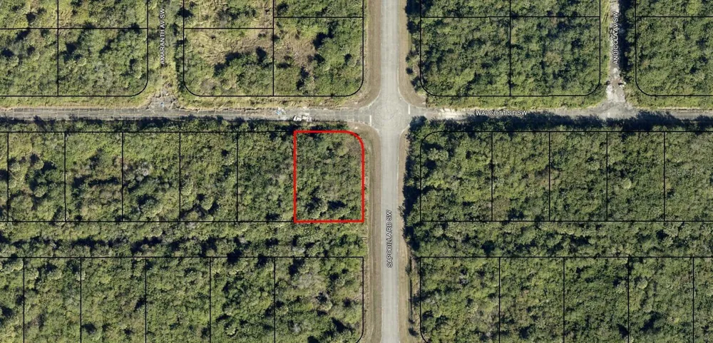 29-36-23-KV-02916 WALLCOTT STREET SW Palm Bay, FL 32908