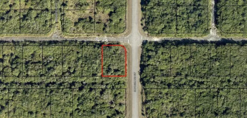 29-36-23-KV-02916 WALLCOTT STREET SW