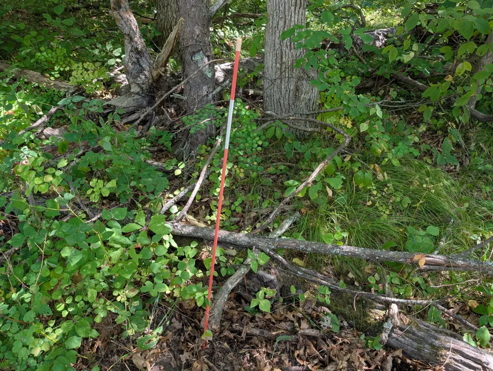 Lot 9 block 1 Fawn Lake Road Cross Lake, MN 56442