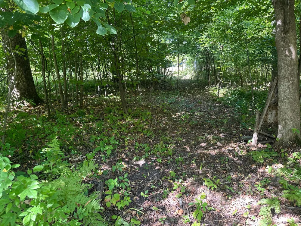 19955 Jeffrey Avenue Forest Lake, MN 55025