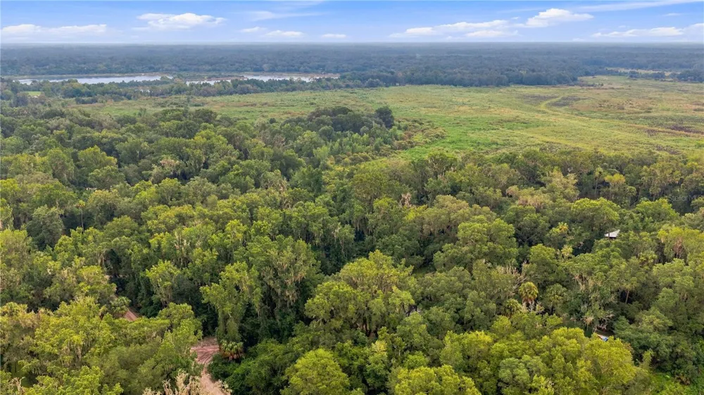 3580 NE 160TH LANE Citra, FL 32113