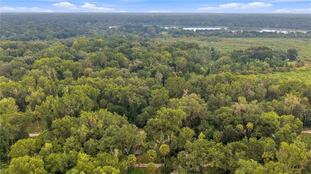 3580 NE 160TH LANE Citra, FL 32113