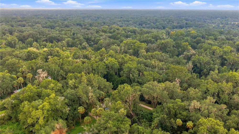 3580 NE 160TH LANE Citra, FL 32113