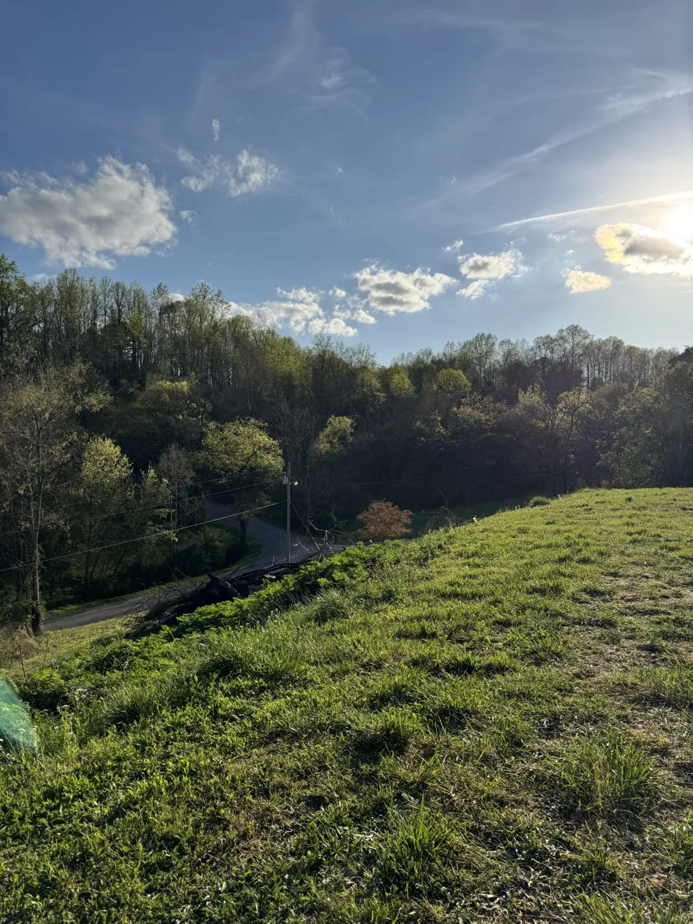 195 Hasty Hollow Rd Lynchburg, TN 37352