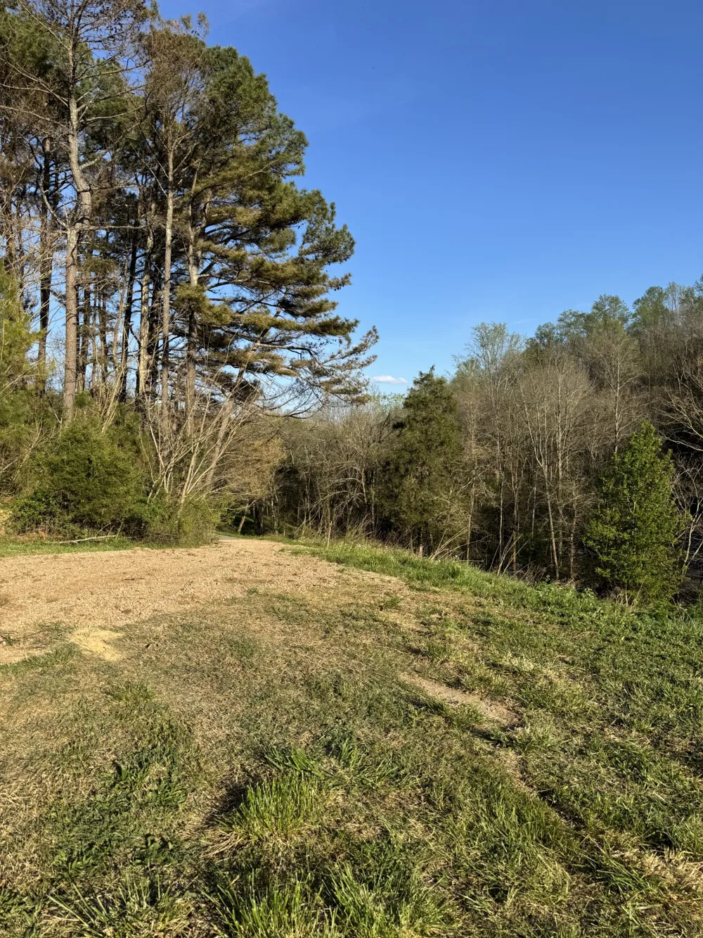 195 Hasty Hollow Rd Lynchburg, TN 37352