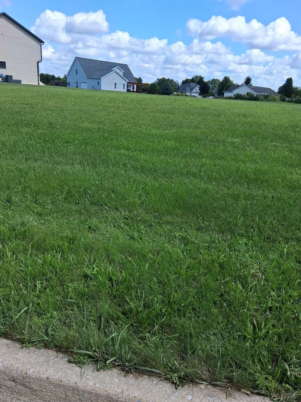 1234 Berkshire Drive Adrian City, MI 49221