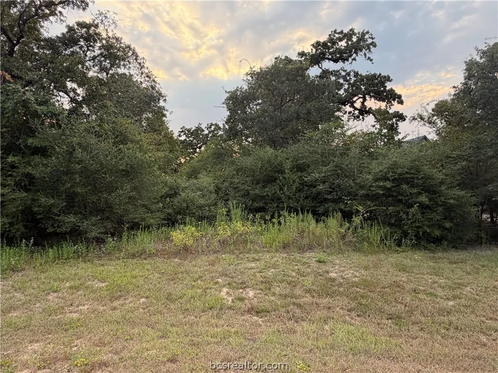 9467 Windsor Avenue Iola, TX 77861
