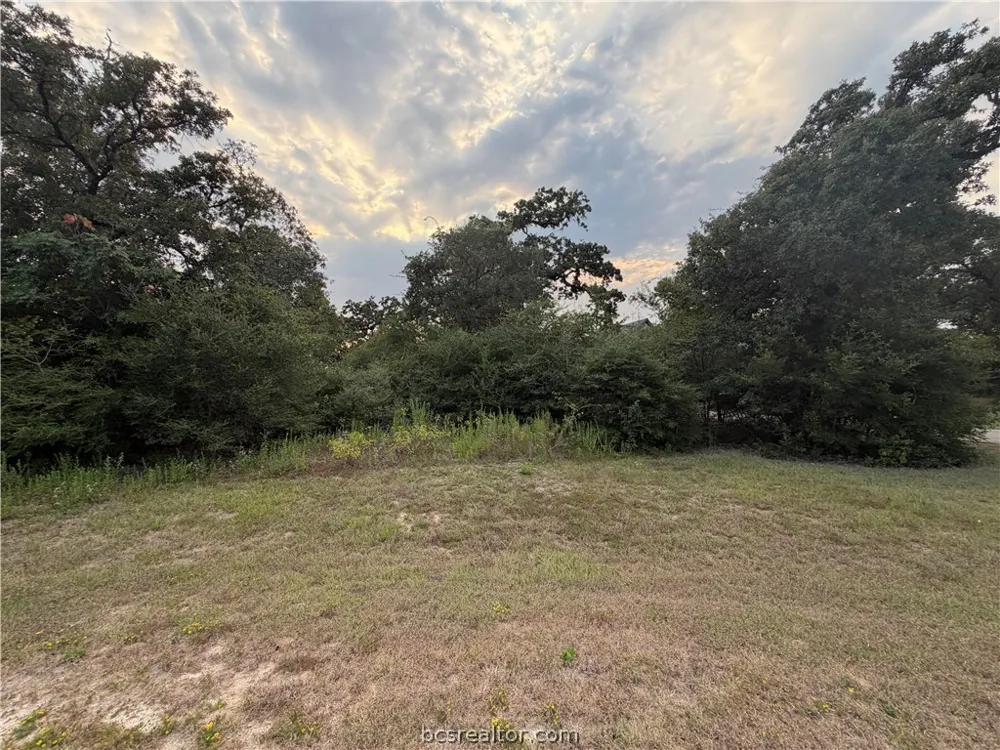 9467 Windsor Avenue Iola, TX 77861