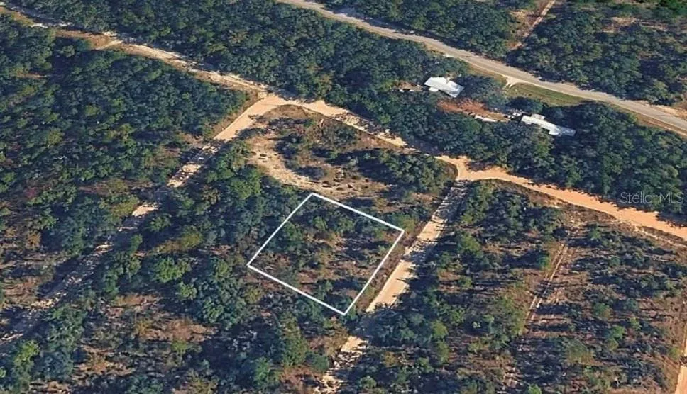 SANDRA LANE Hawthorne, FL 32640