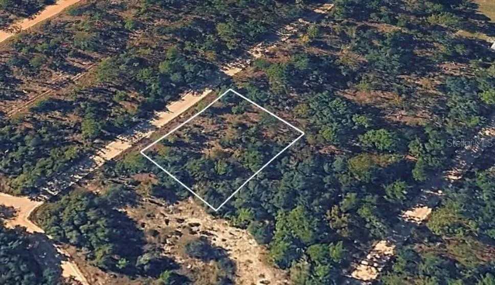 SANDRA LANE Hawthorne, FL 32640