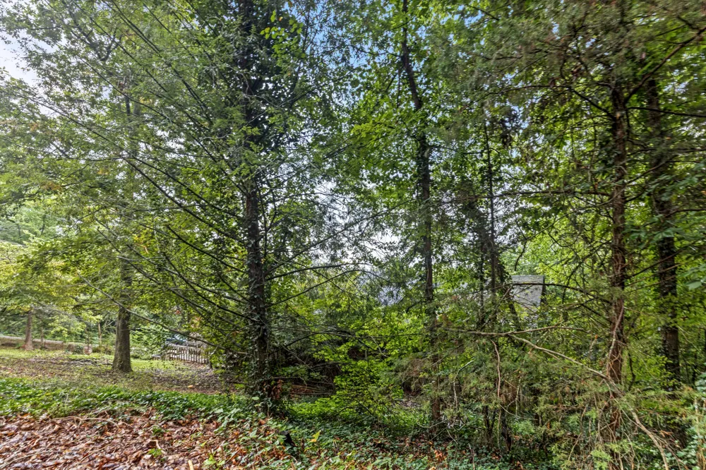 605 Clearview Drive Ringgold, GA 30736