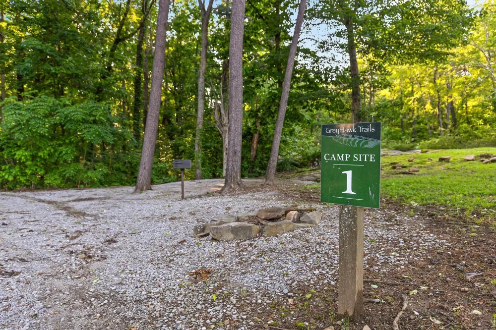 7263 Grey Hawk Trail Signal Mountain, TN 37377