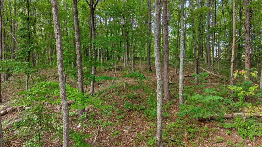 7263 Grey Hawk Trail Signal Mountain, TN 37377