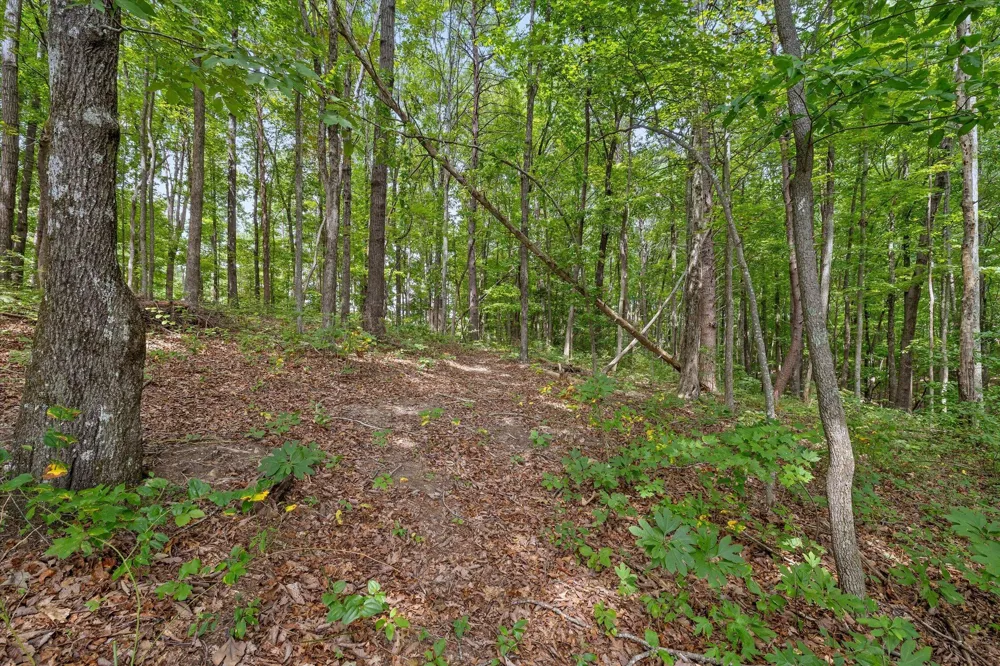 7263 Grey Hawk Trail Signal Mountain, TN 37377