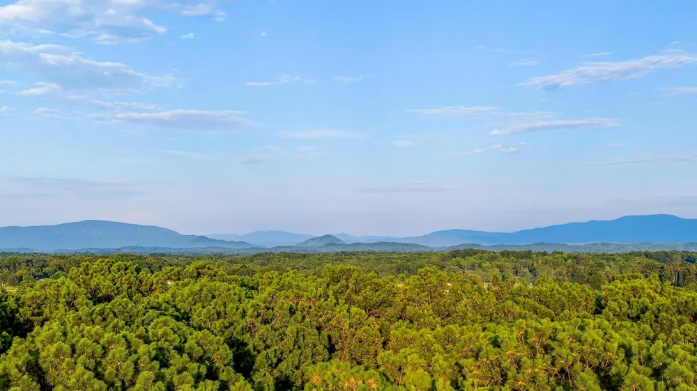 813 Ladd Springs Road SE Cleveland, TN 37323