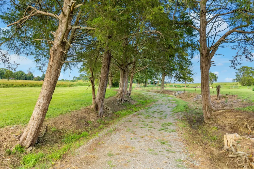 813 Ladd Springs Road SE Cleveland, TN 37323