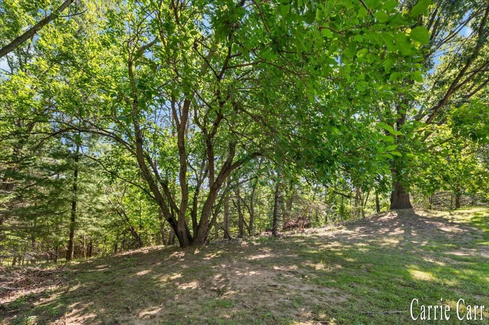 4291 4 Mile Road NE Plainfield Charter Township, MI 49525