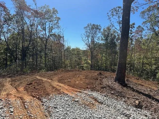3.71 Yancy Drive Dawsonville, GA 30534