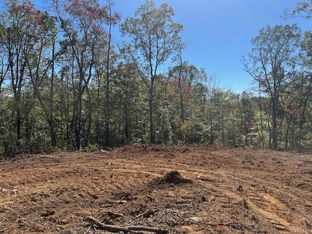 3.71 Yancy Drive Dawsonville, GA 30534
