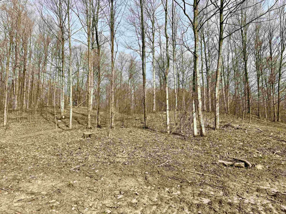 15 S Mistys Trail Empire Township, MI 49630