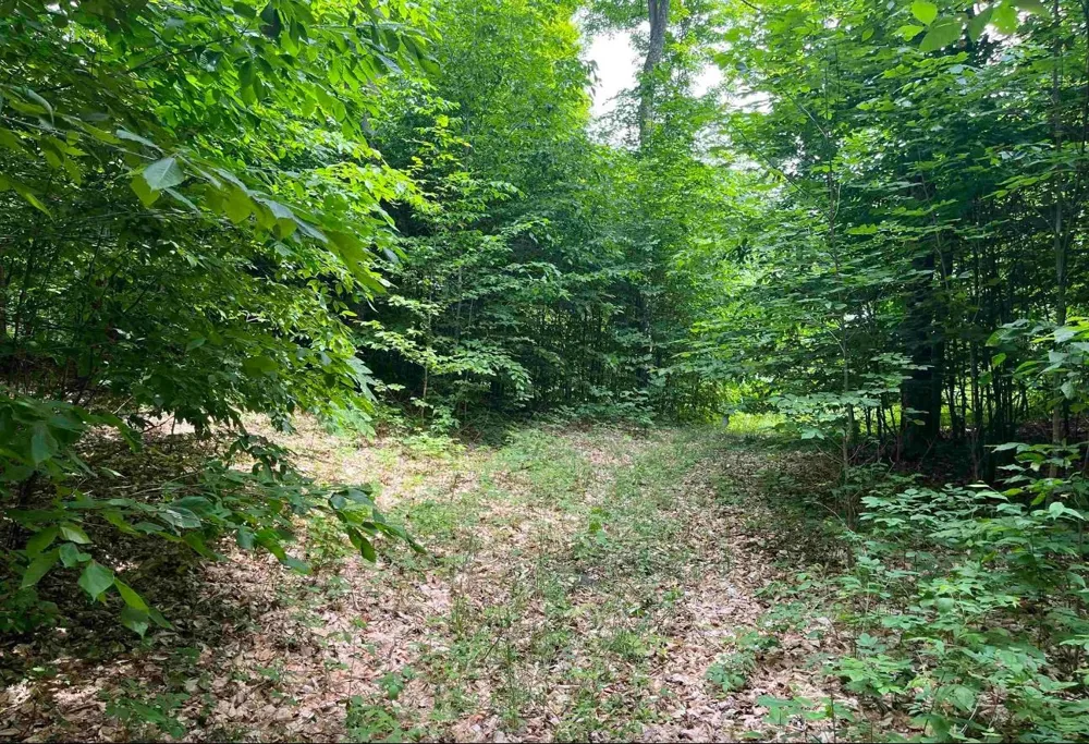 15 S Mistys Trail Empire Township, MI 49630