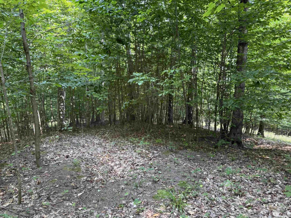 15 S Mistys Trail Empire Township, MI 49630