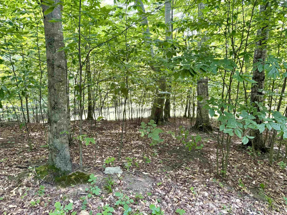 15 S Mistys Trail Empire Township, MI 49630