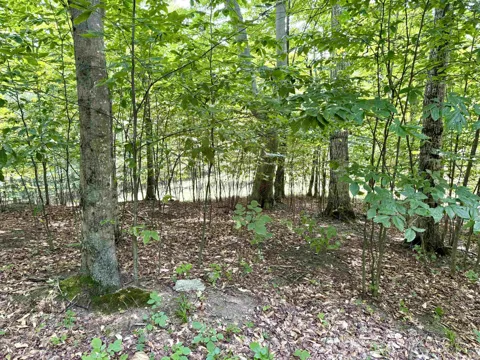 15 S Mistys Trail