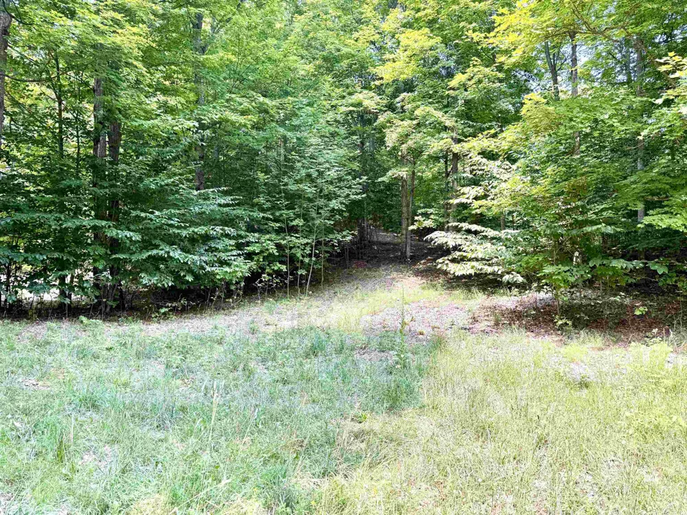 15 S Mistys Trail Empire Township, MI 49630