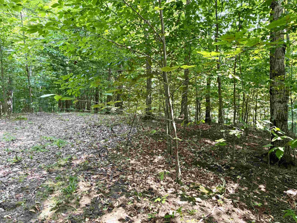 15 S Mistys Trail Empire Township, MI 49630