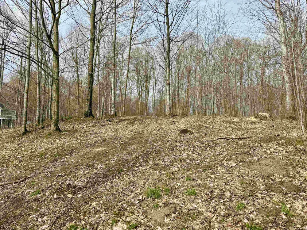 15 S Mistys Trail Empire Township, MI 49630