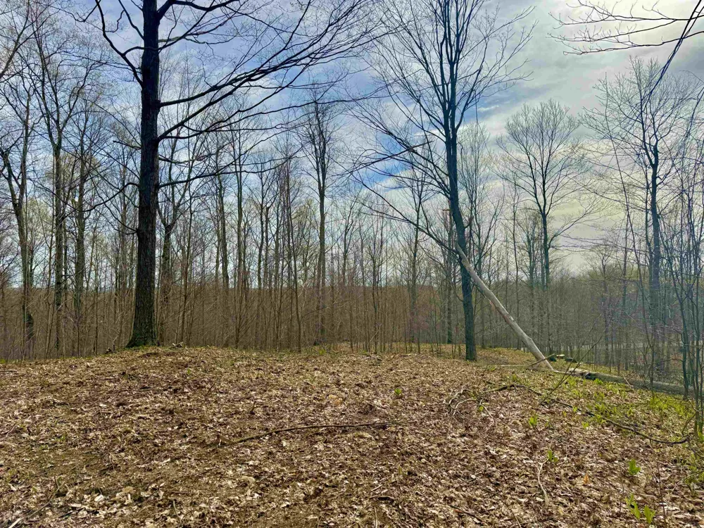 15 S Mistys Trail Empire Township, MI 49630