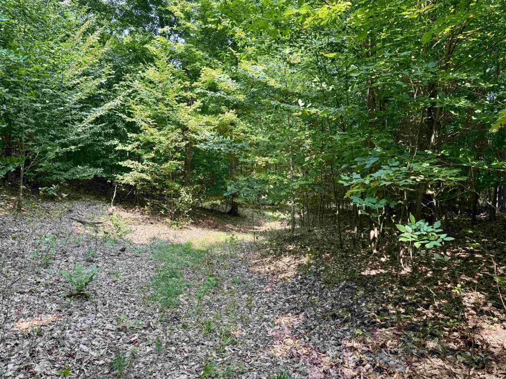 15 S Mistys Trail Empire Township, MI 49630