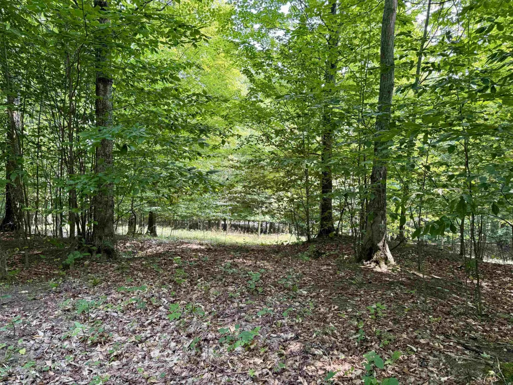 15 S Mistys Trail Empire Township, MI 49630