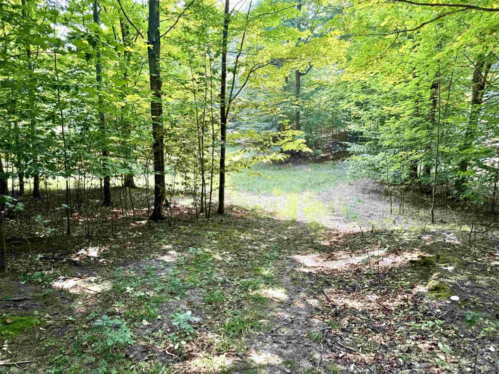 15 S Mistys Trail Empire Township, MI 49630
