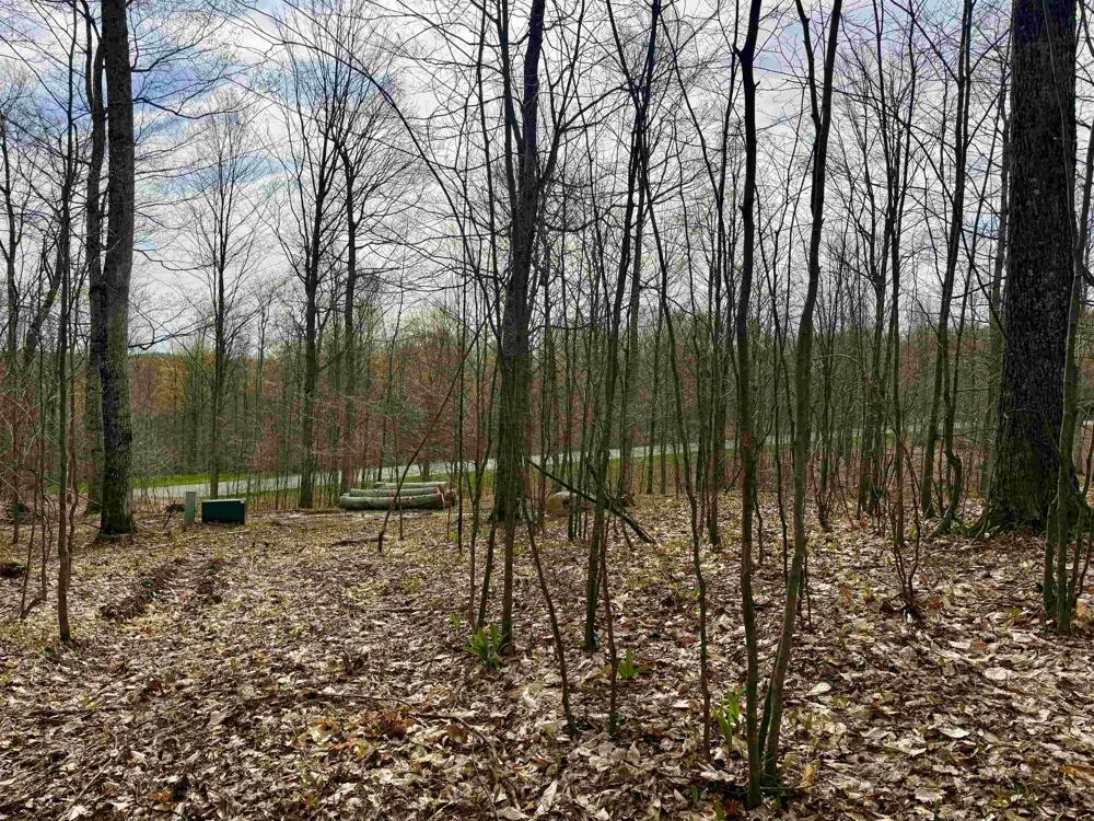 15 S Mistys Trail Empire Township, MI 49630