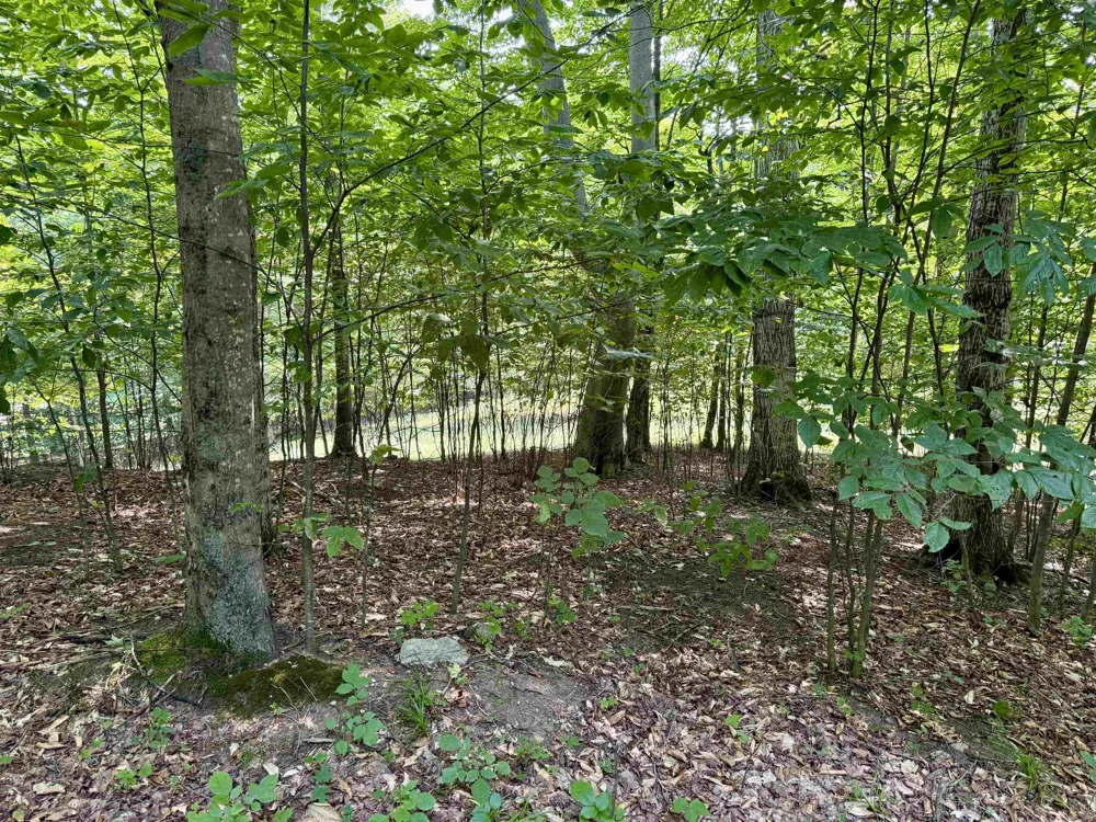 15 S Mistys Trail Empire Township, MI 49630
