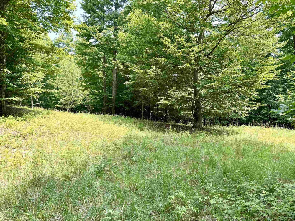 15 S Mistys Trail Empire Township, MI 49630