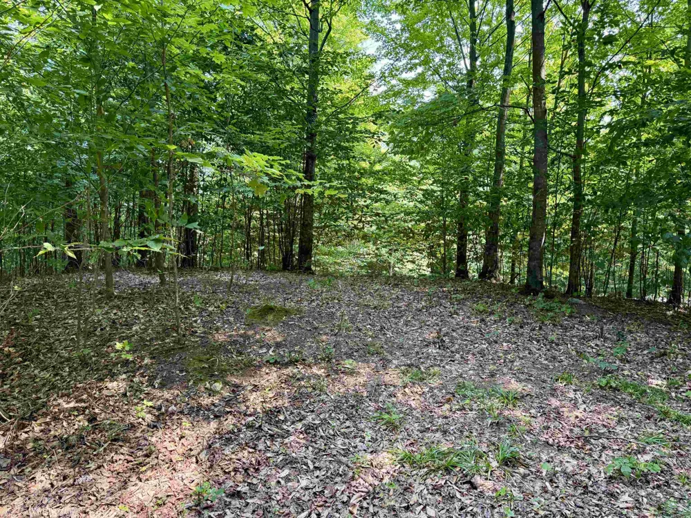 15 S Mistys Trail Empire Township, MI 49630