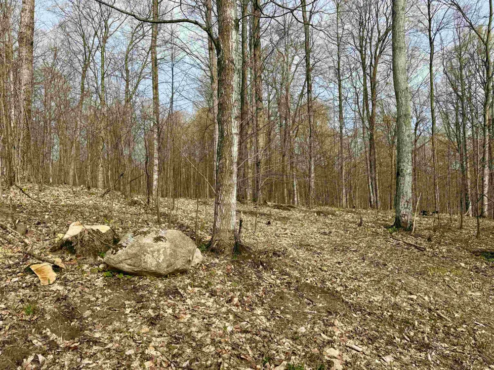 15 S Mistys Trail Empire Township, MI 49630