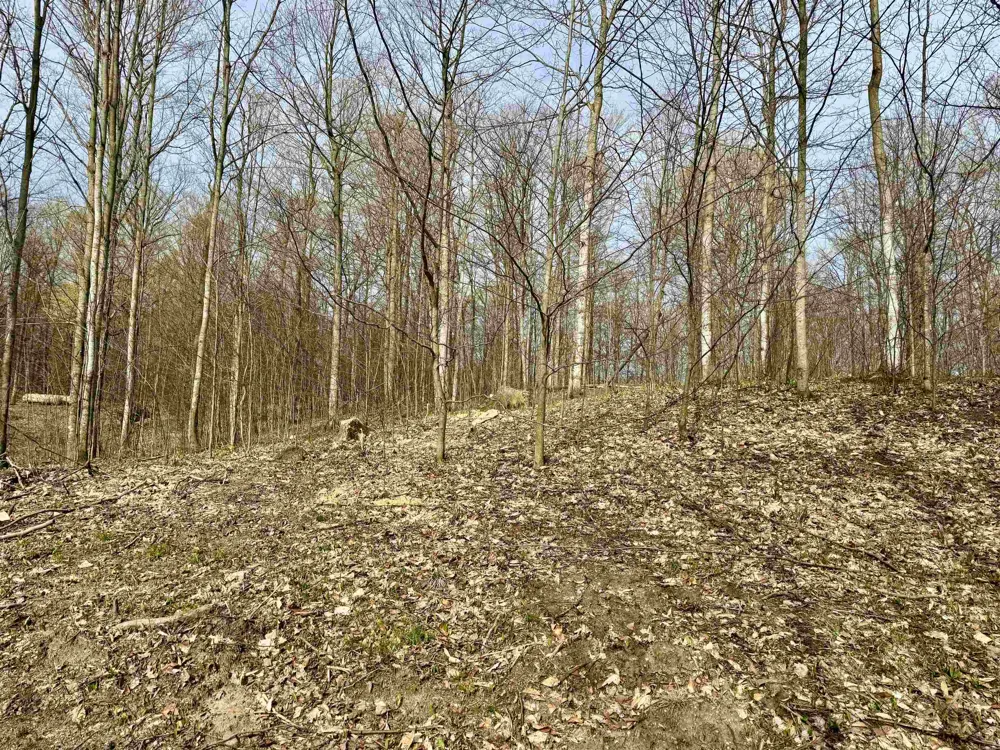 15 S Mistys Trail Empire Township, MI 49630
