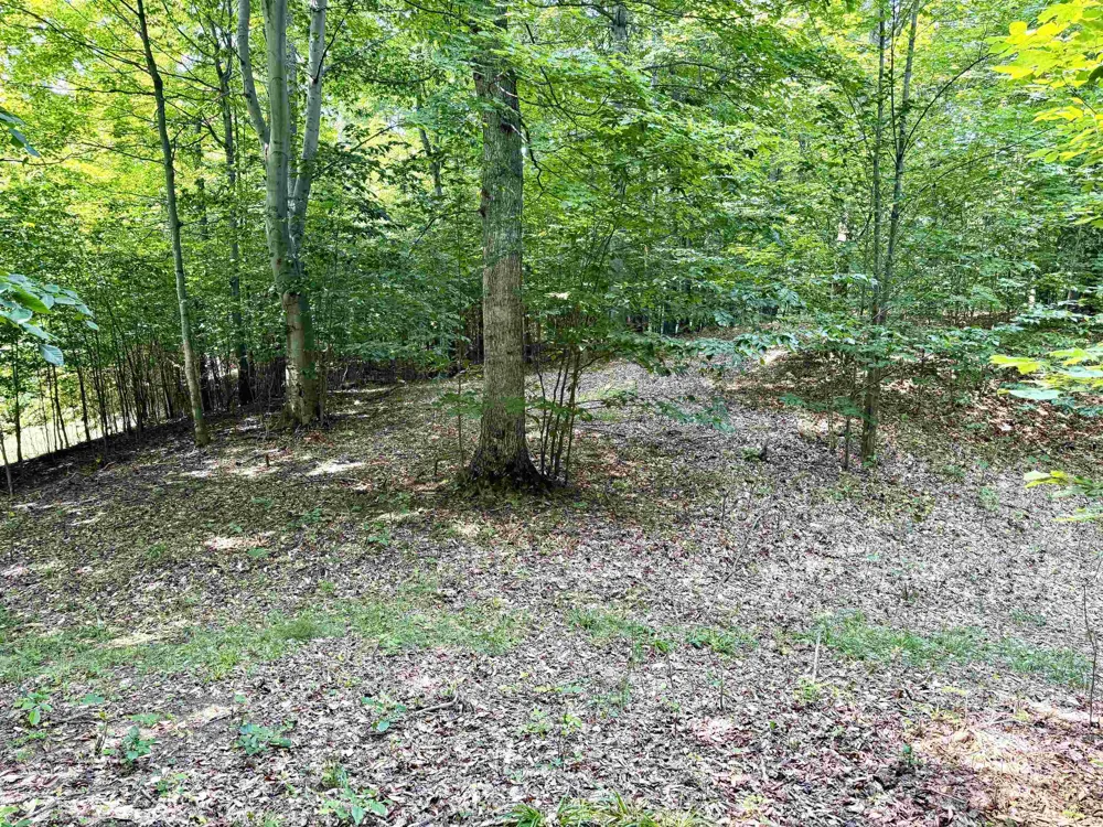 15 S Mistys Trail Empire Township, MI 49630