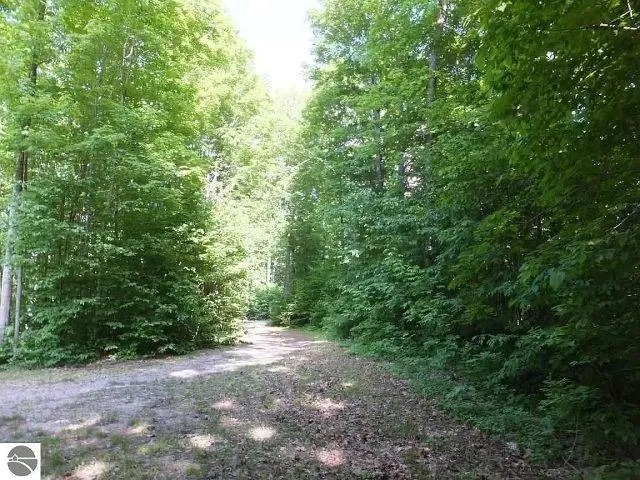 2228 Northwoods Drive Weldon Township, MI 49616