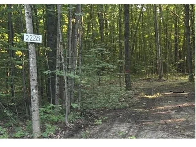 2228 Northwoods Drive Weldon Township, MI 49616