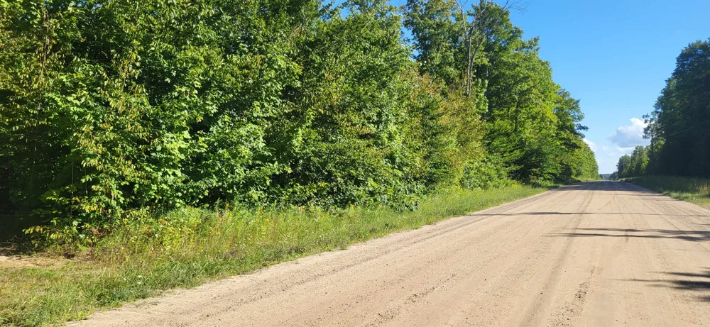 Bocook Road Mancelona Township, MI 49659