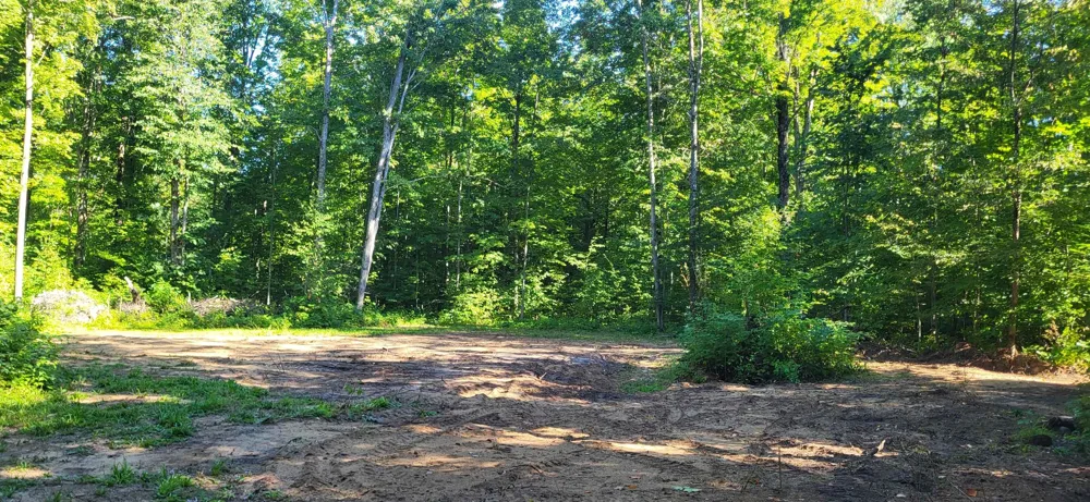 Bocook Road Mancelona Township, MI 49659
