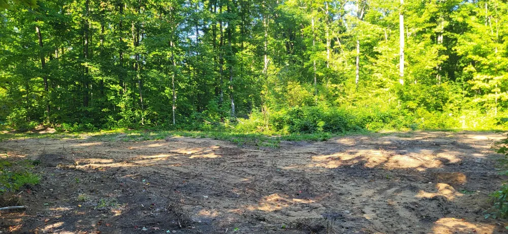 Bocook Road Mancelona Township, MI 49659