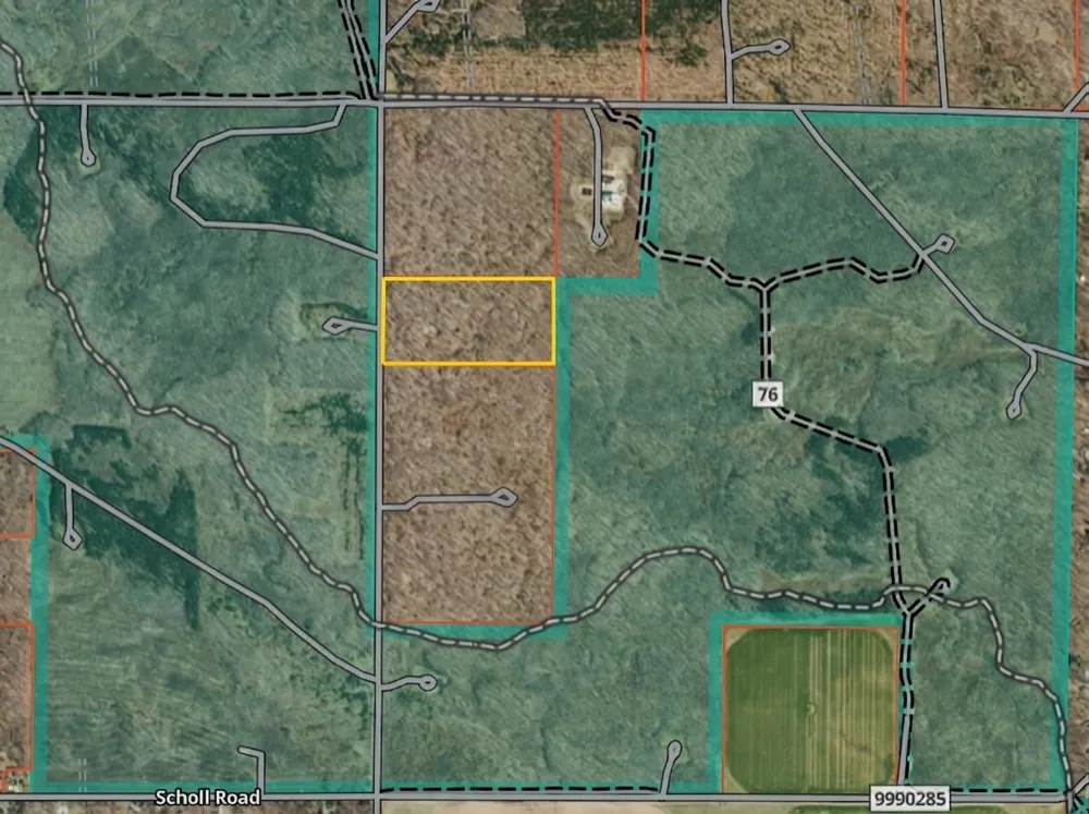Bocook Road Mancelona Township, MI 49659