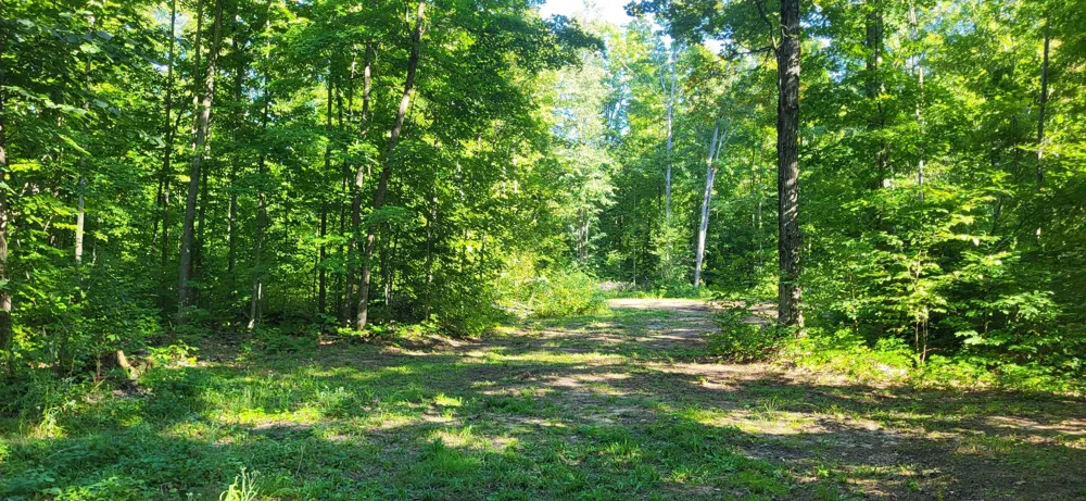 Bocook Road Mancelona Township, MI 49659